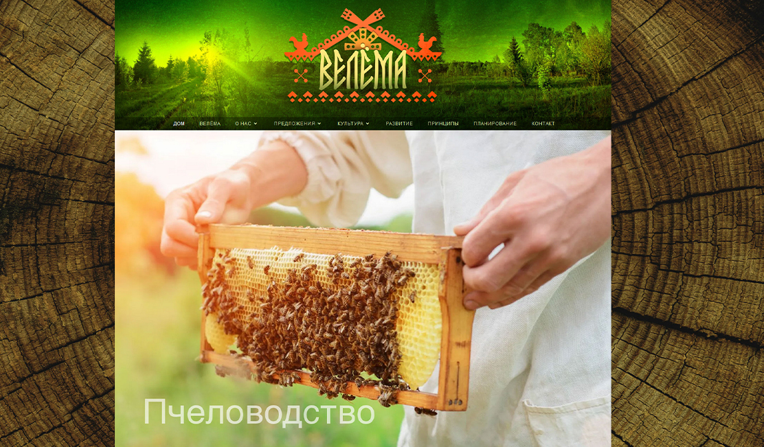 welema_website_SLIDE